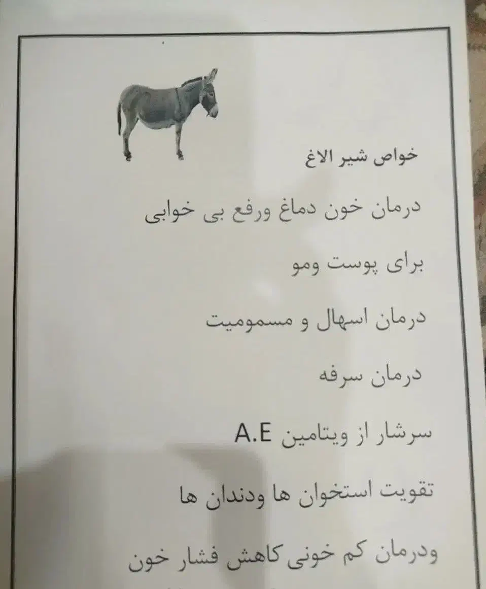 شیر شتر و شیر الاغ و دوغ شتر|خوردنی و آشامیدنی|بافق, |دیوار