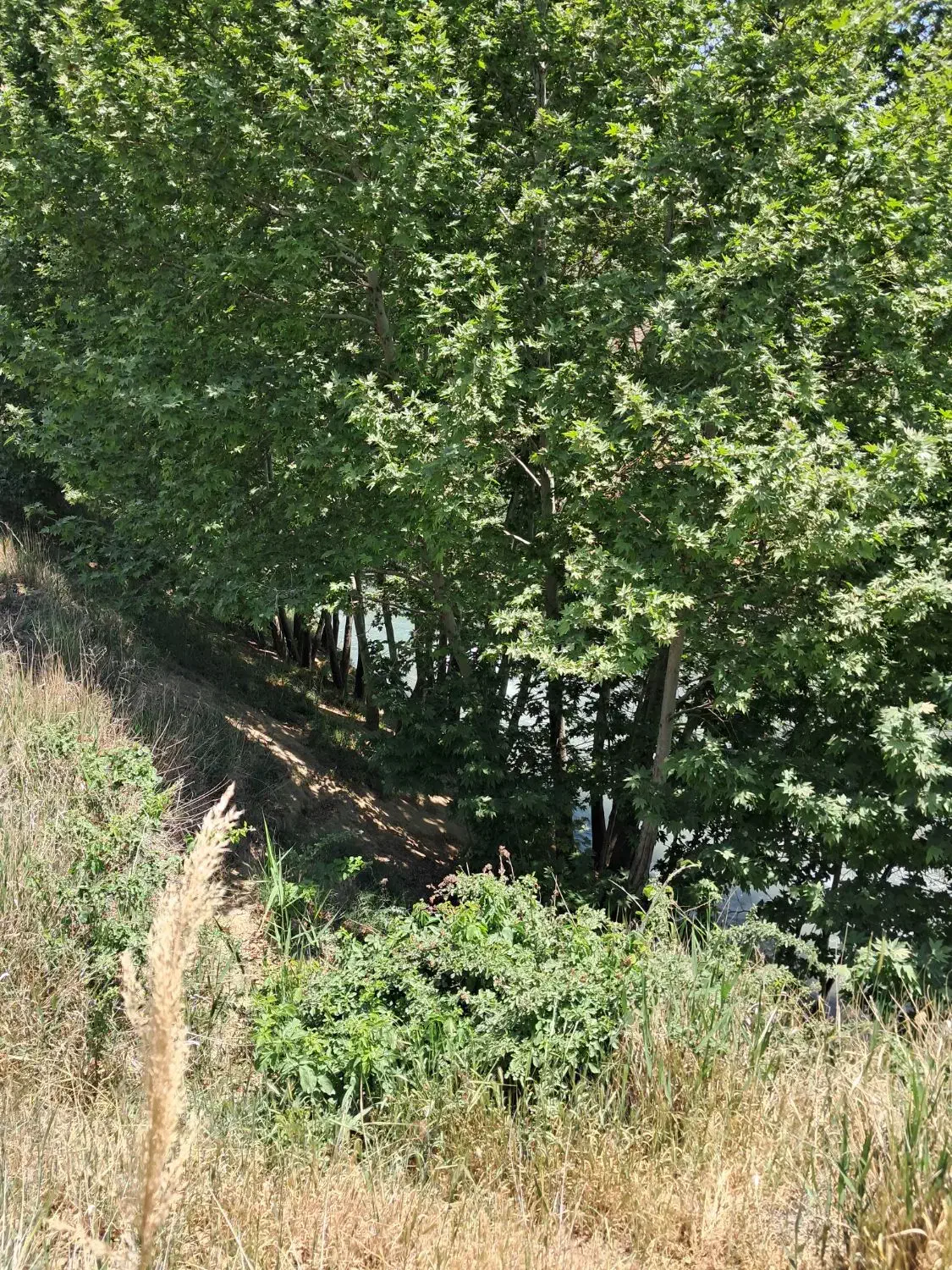 جاده طالقان،زیاران، تهاتر با آپارتمان تهران|فروش زمین و ملک کلنگی|طالقان, |دیوار