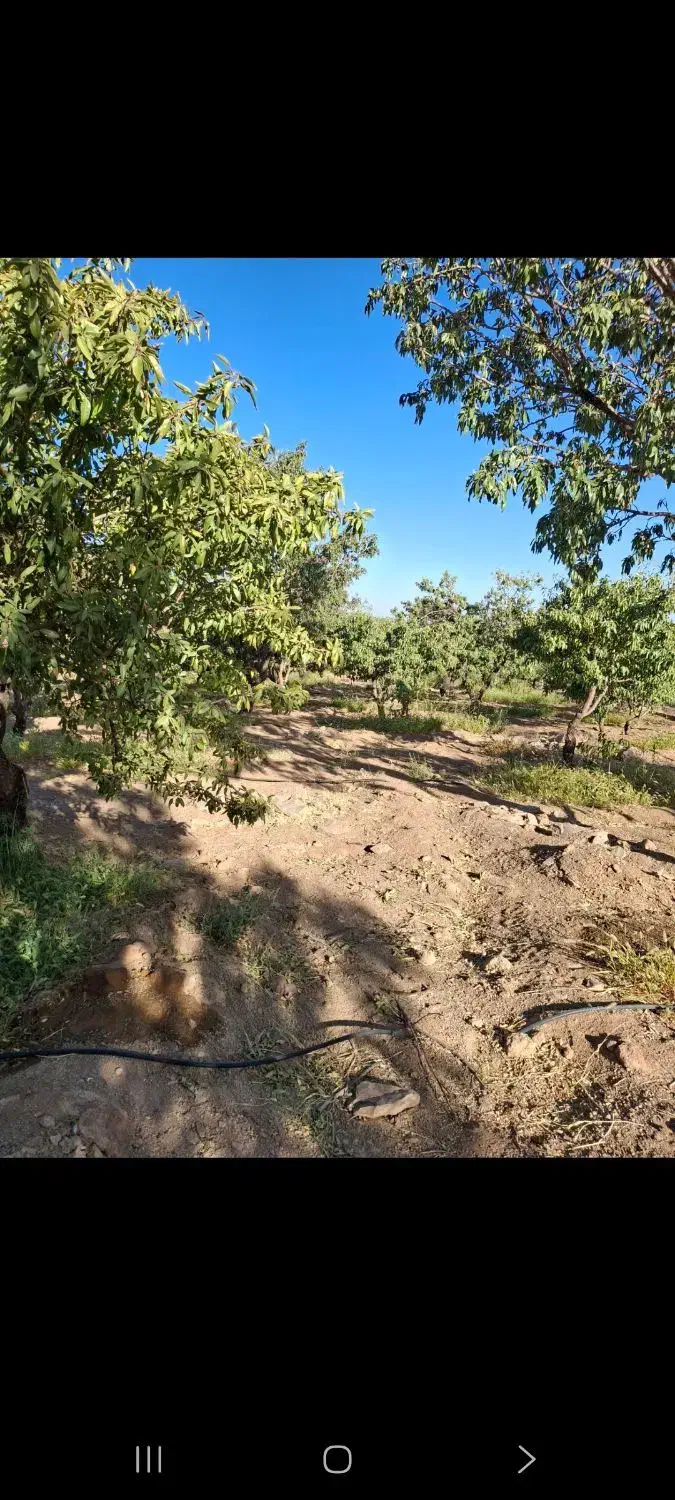 فروش ۲۷۰۰متر باغ زیر قیمت استثنایی|فروش زمین و ملک کلنگی|اصفهان, شاهزاده ابراهیم|دیوار