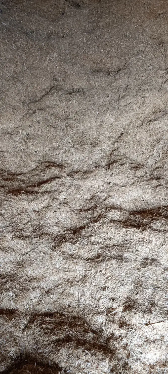 کاه|لوازم جانبی حیوانات|شیروان (خراسان), |دیوار