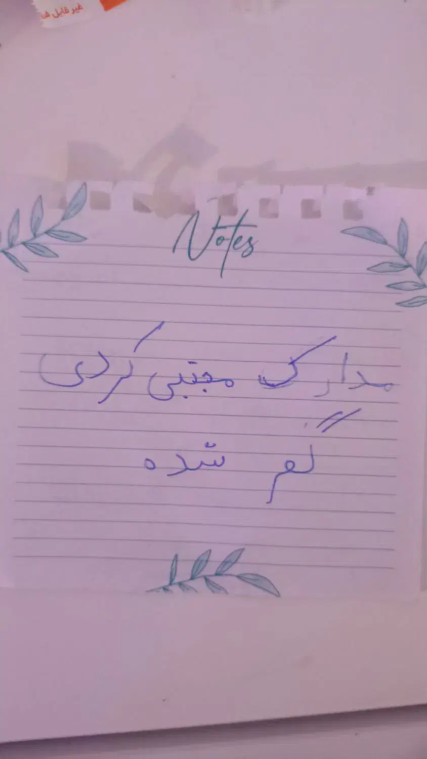 مدارک مجتبی کردی گم شده|اشیا|نیشابور, گنبد سبز|دیوار