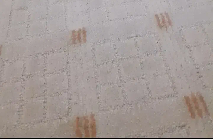 موکت در حد نو|موکت|ایوان, |دیوار