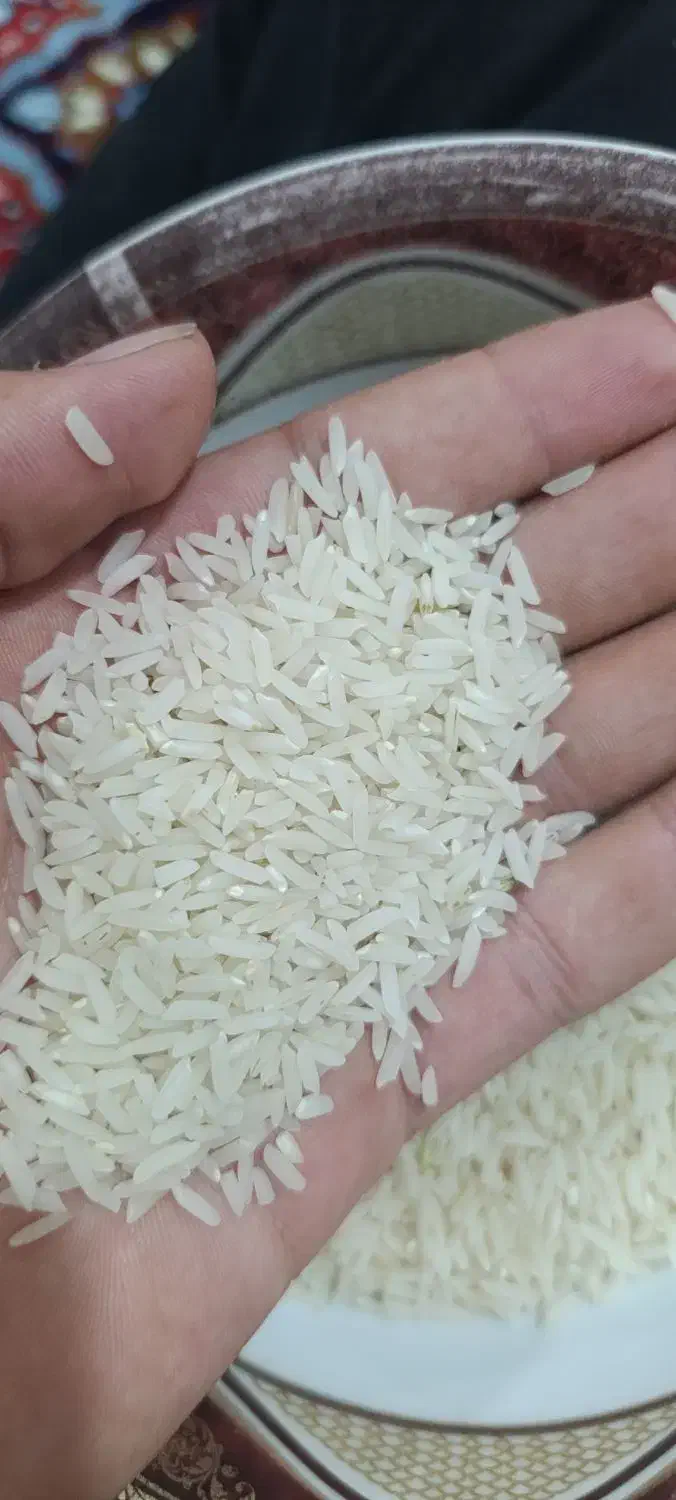 برنج هاشمی درجه یک دره رود|خوردنی و آشامیدنی|چهاردانگه (آذربایجان), |دیوار