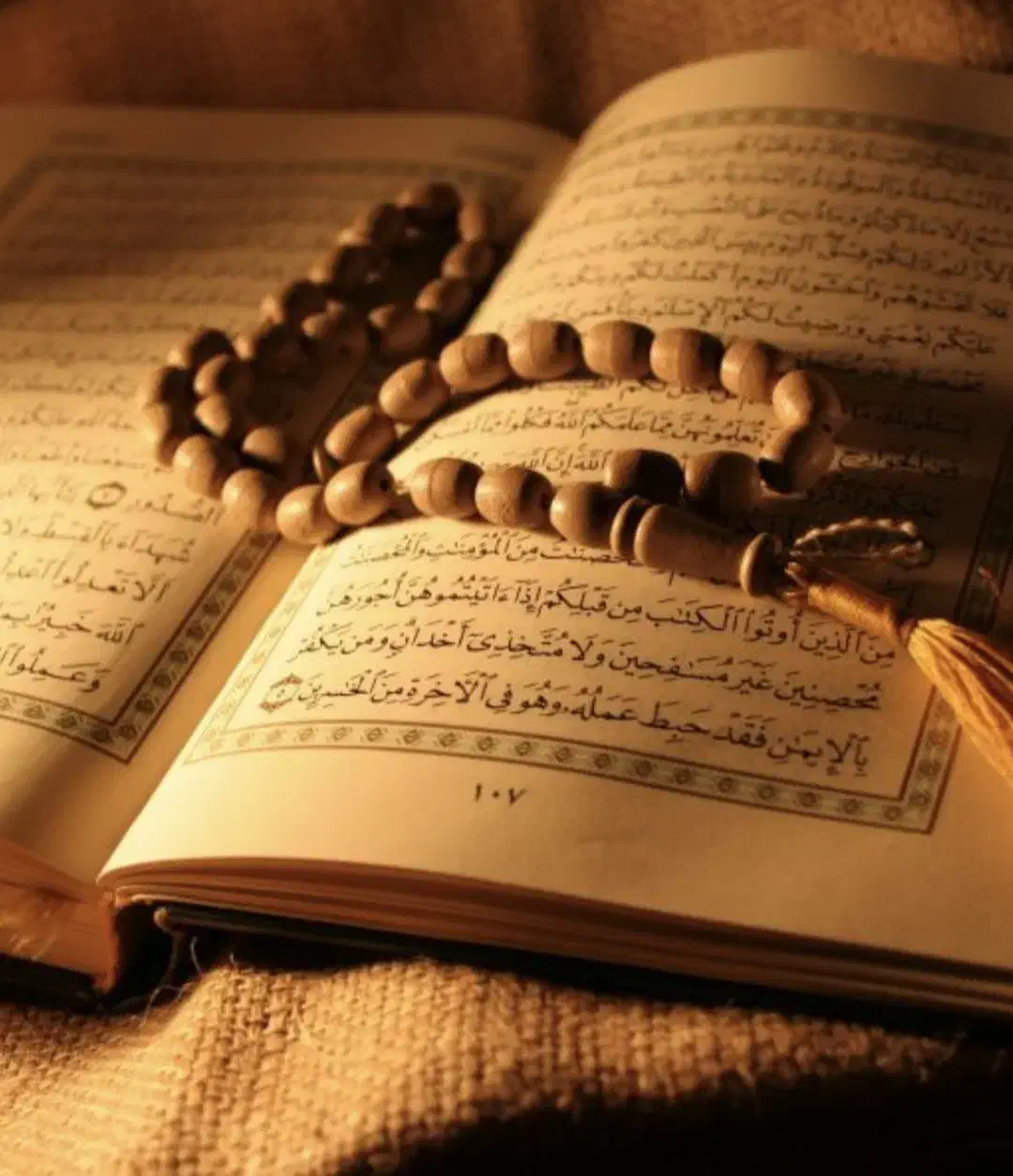سرکتاب. طالع|کتاب و مجله مذهبی|شیراز, دروازه اصفهان|دیوار