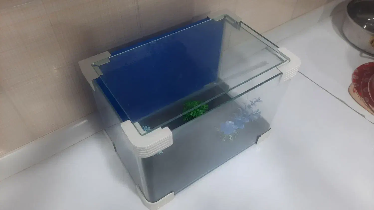 آکواریوم خانگی نو|ماهی|فولادشهر, C5|دیوار