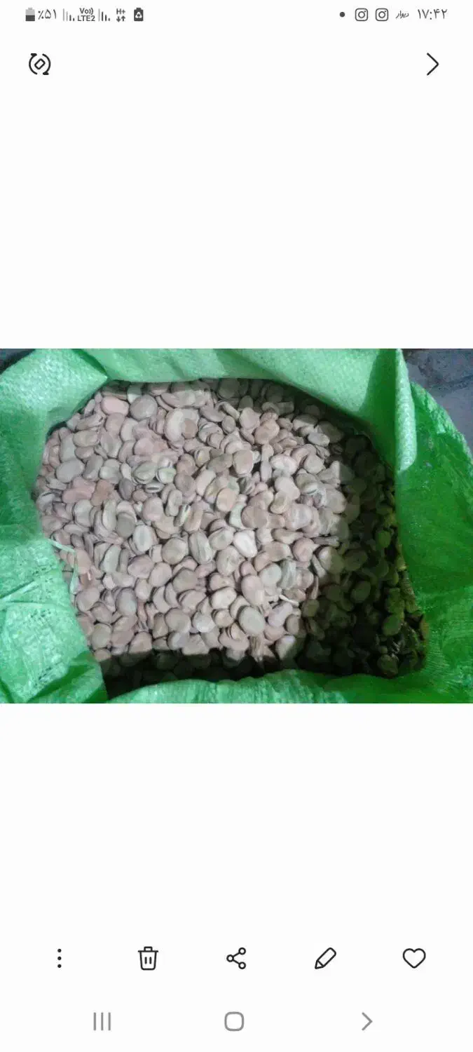 باقلا|عمده‌فروشی|رشت, سعدی (تختی)|دیوار