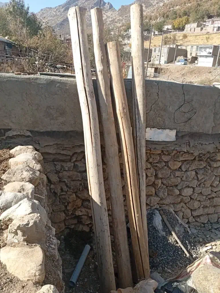 چنار|عمده‌فروشی|سروآباد, |دیوار