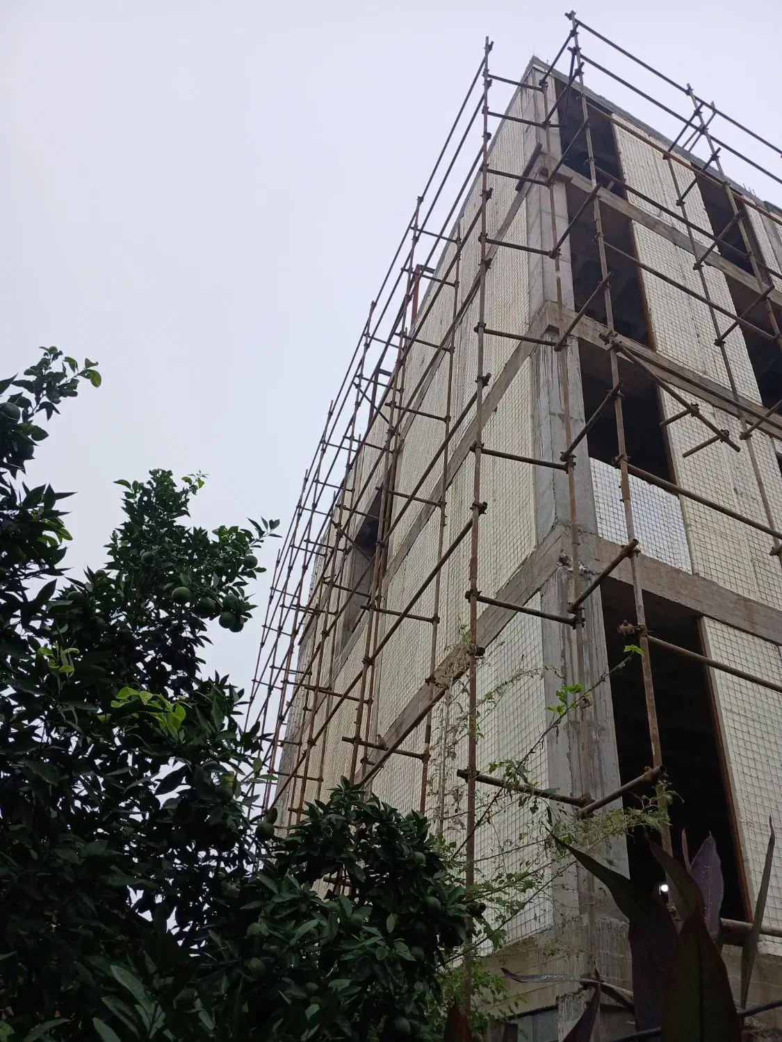 داربست فلزی عصر نو|خدمات پیشه و مهارت|رشت, فخب|دیوار