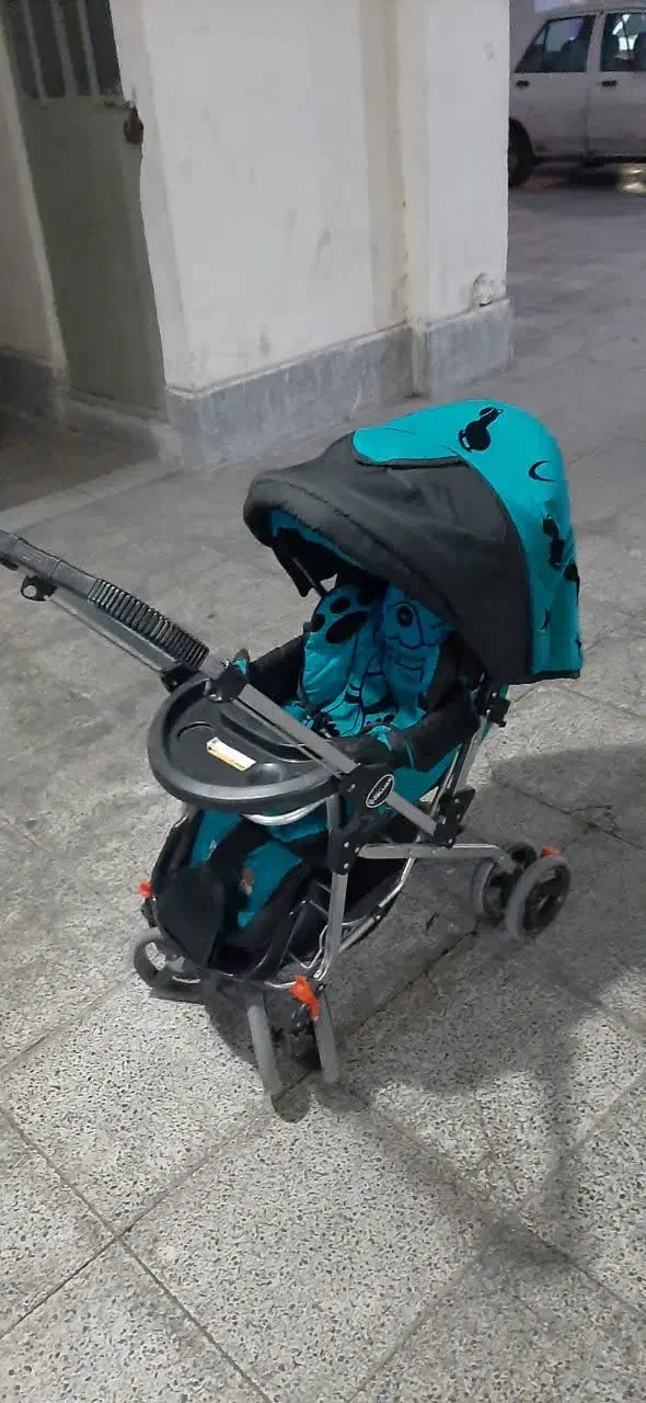 کالسکه|کالسکه و لوازم جانبی|فردیس, نگارستان|دیوار