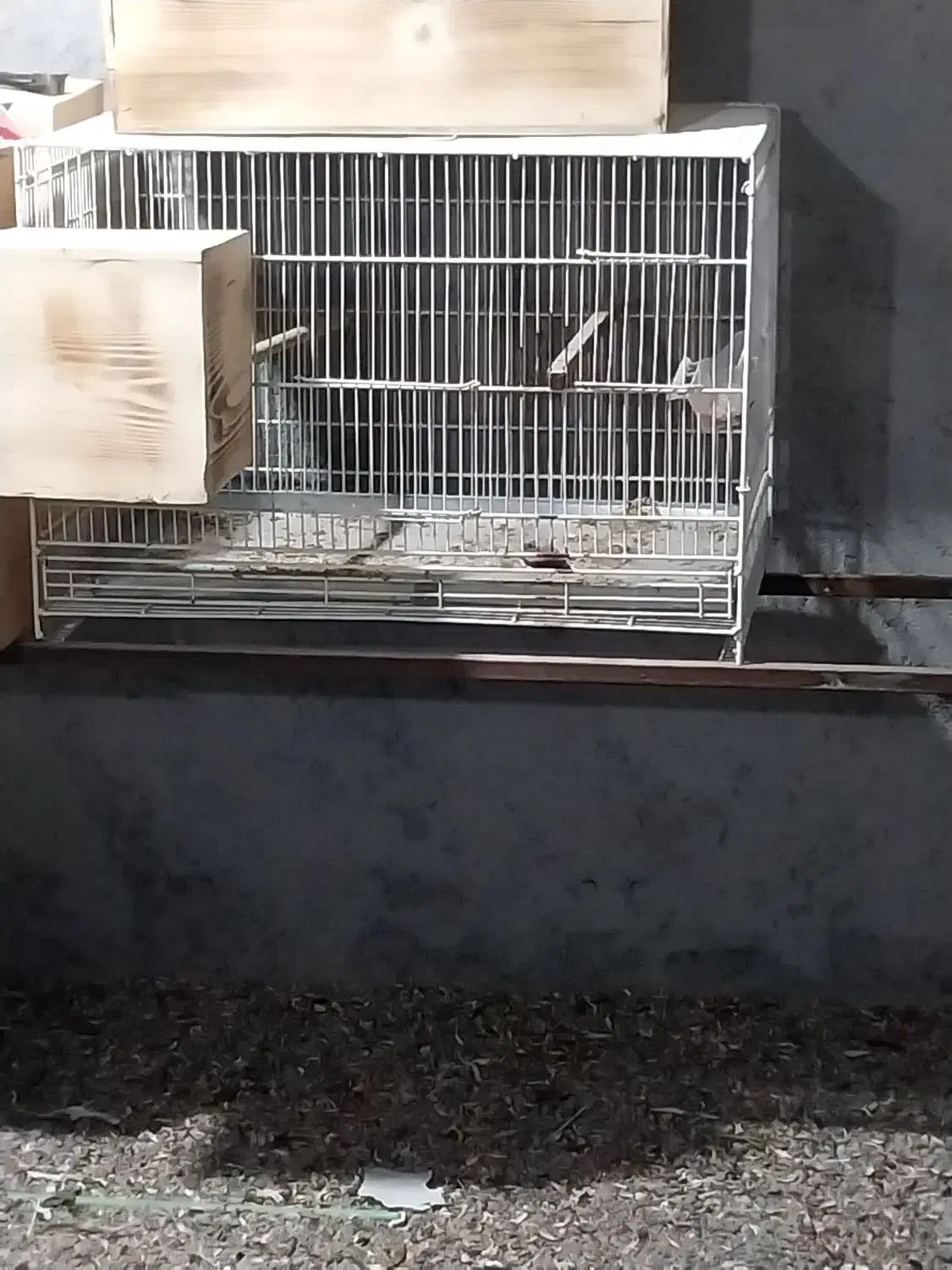 قفس بزرگ جادارفروشی|لوازم جانبی حیوانات|میناب, |دیوار