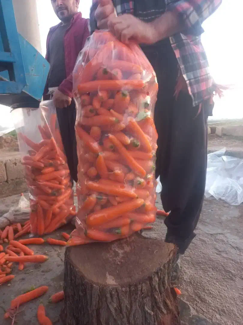 ارسال هویج|خوردنی و آشامیدنی|تهران, حر|دیوار