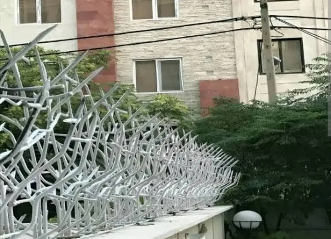 نصب و جوشکاری انواع حفاظ پنجره و شاخ گوزنی|خدمات پیشه و مهارت|قائمشهر, |دیوار