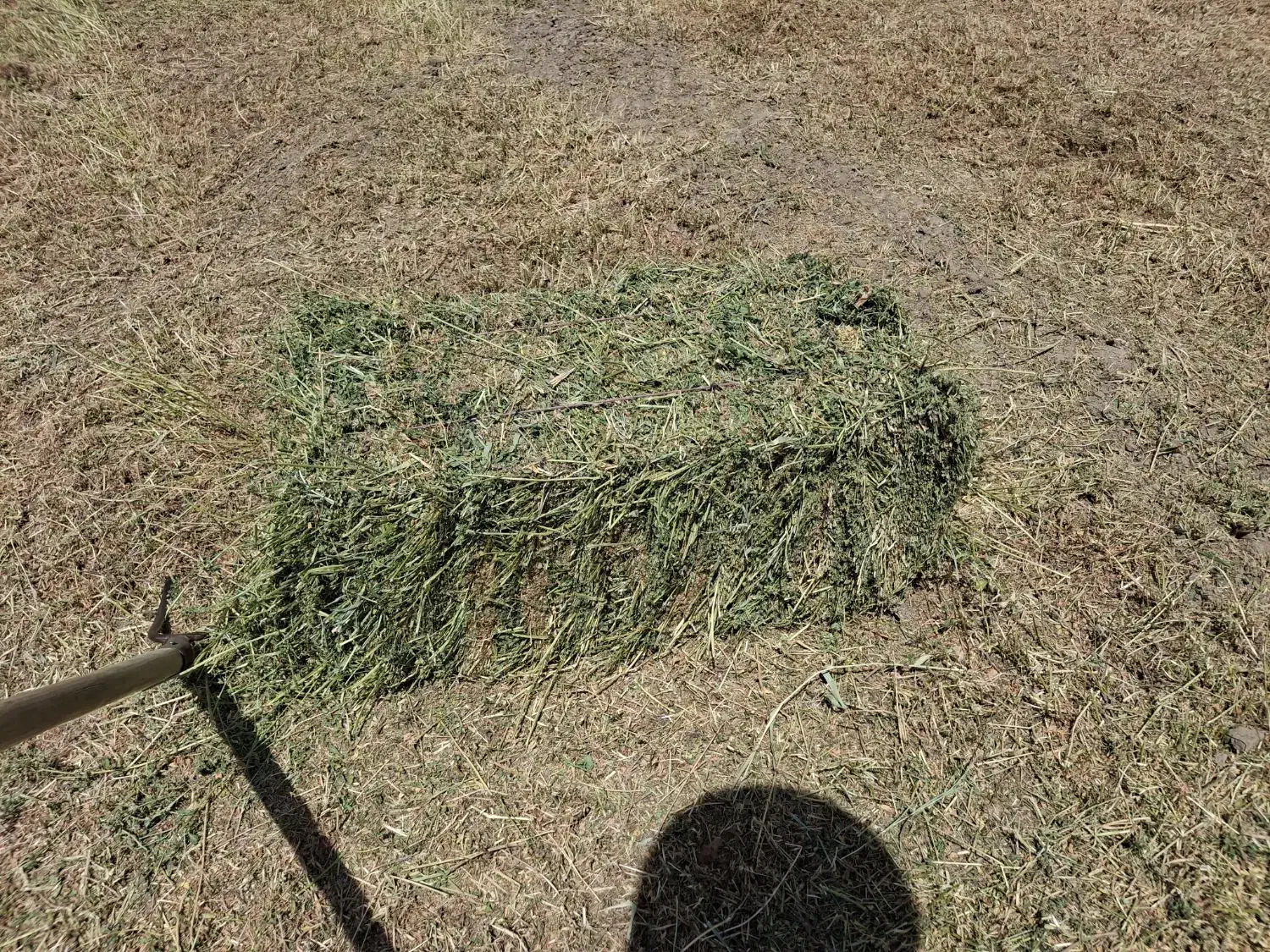 یونجه درجه یک|حیوانات مزرعه|سراب, |دیوار