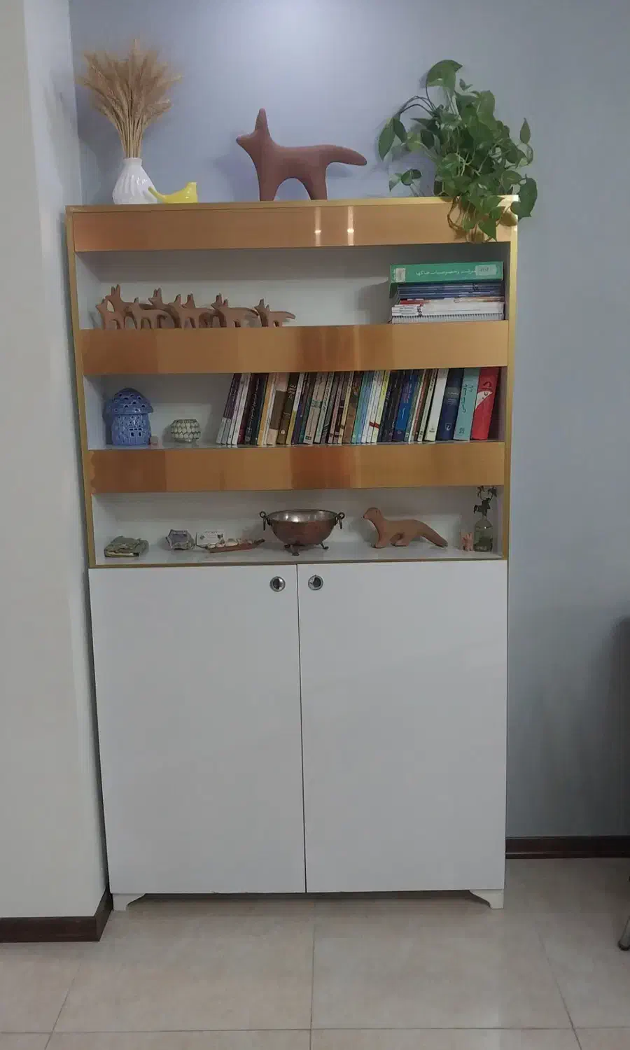 شلف و قفسه|کتابخانه، شلف، قفسههای دیواری|مشکیندشت, |دیوار