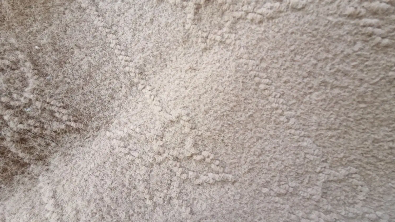 موکت برای خانه|موکت|ابهر, |دیوار