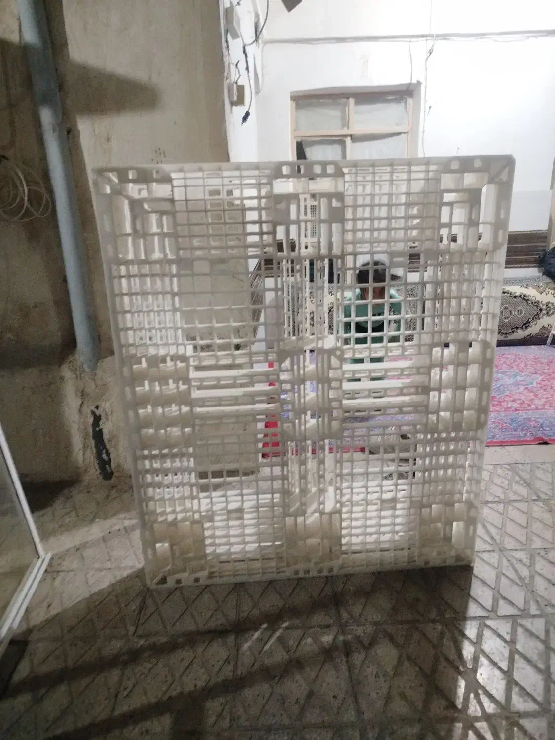 پالت درحد نو|ابزارآلات|سمنان, |دیوار