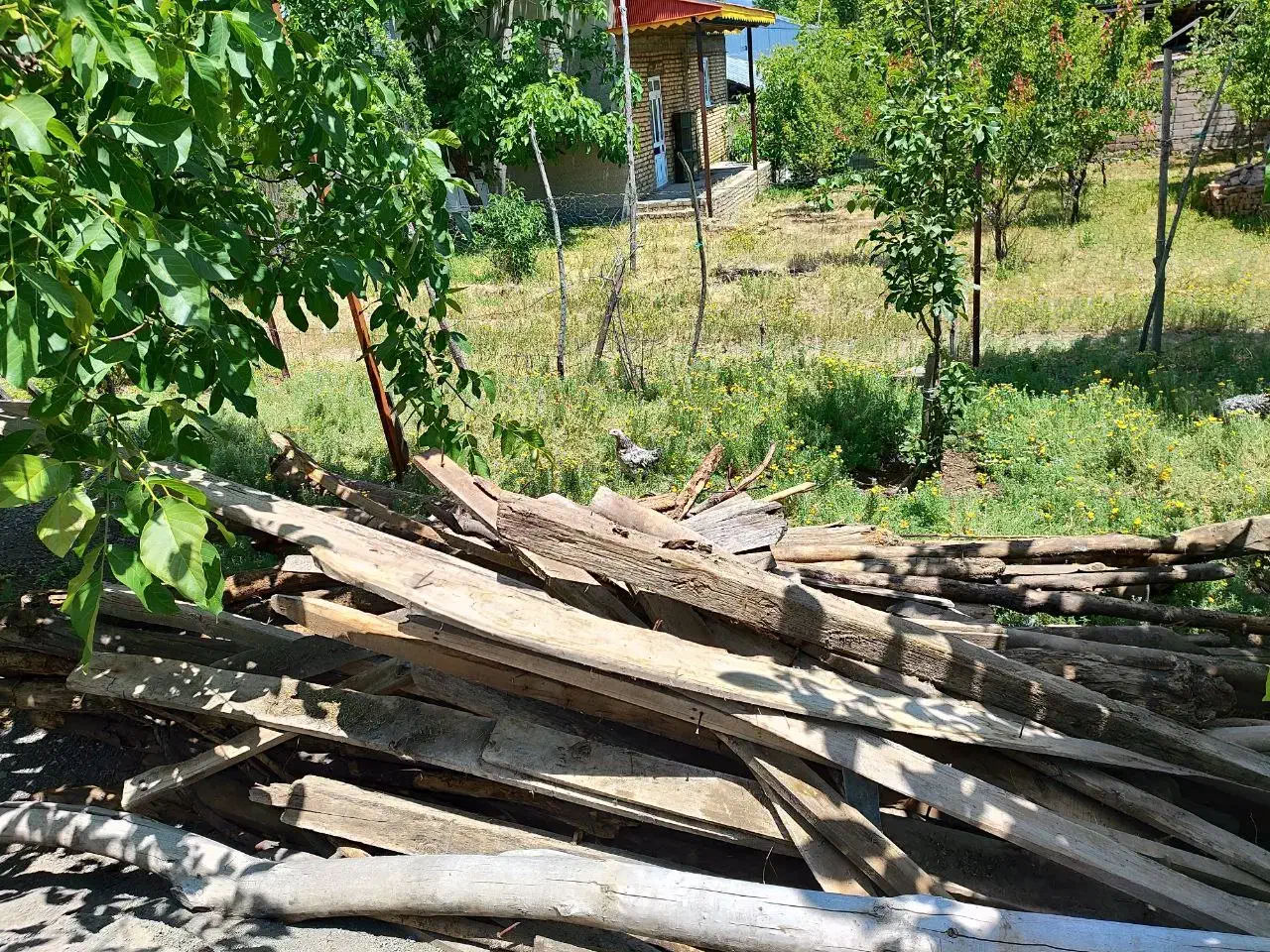 هیزم|خدمات باغبانی و درختکاری|خلخال, |دیوار