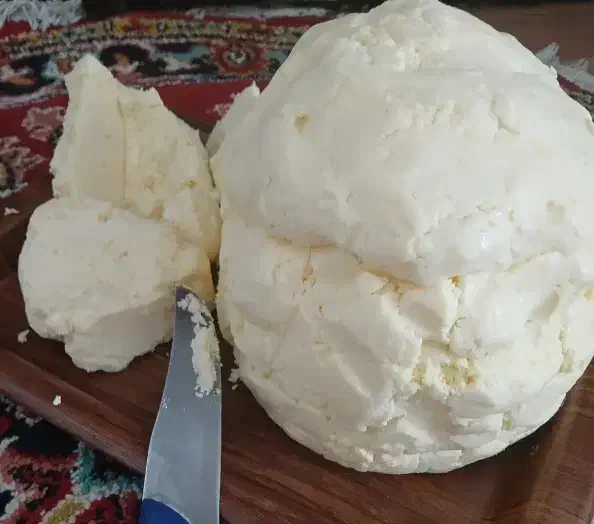 پنیرگاوی درجه یک تضمینی با تست فقط290|عمدهفروشی|مراغه, |دیوار