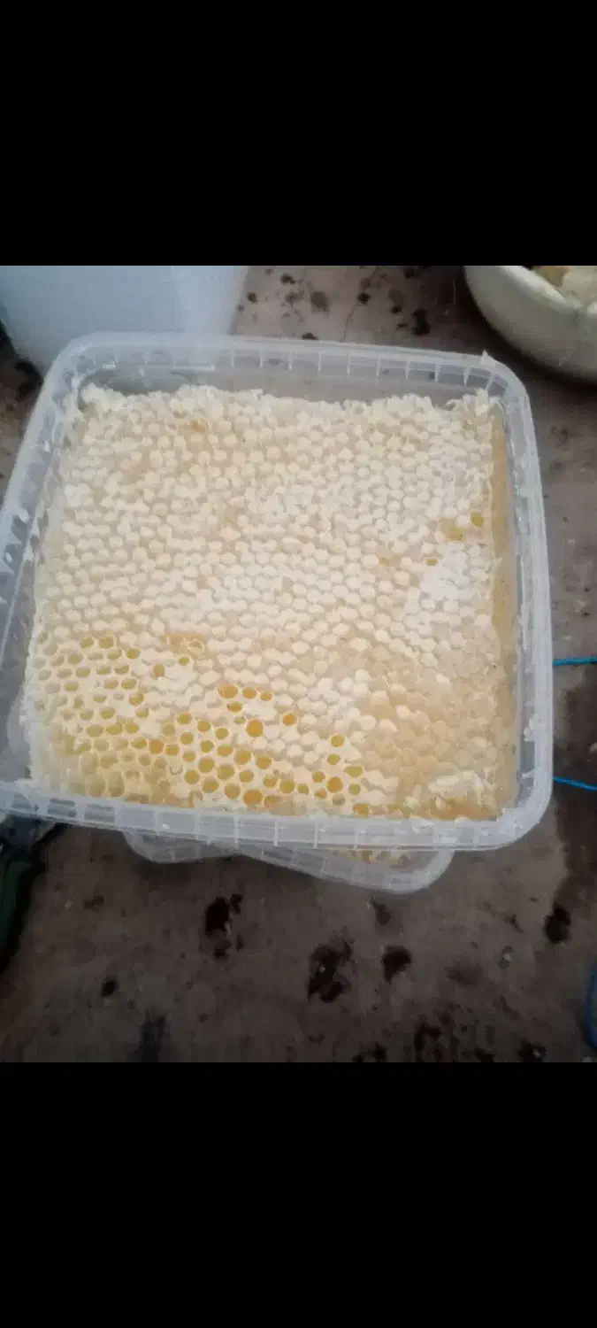 عسل طبیعی تازه|خوردنی و آشامیدنی|پیرانشهر, |دیوار