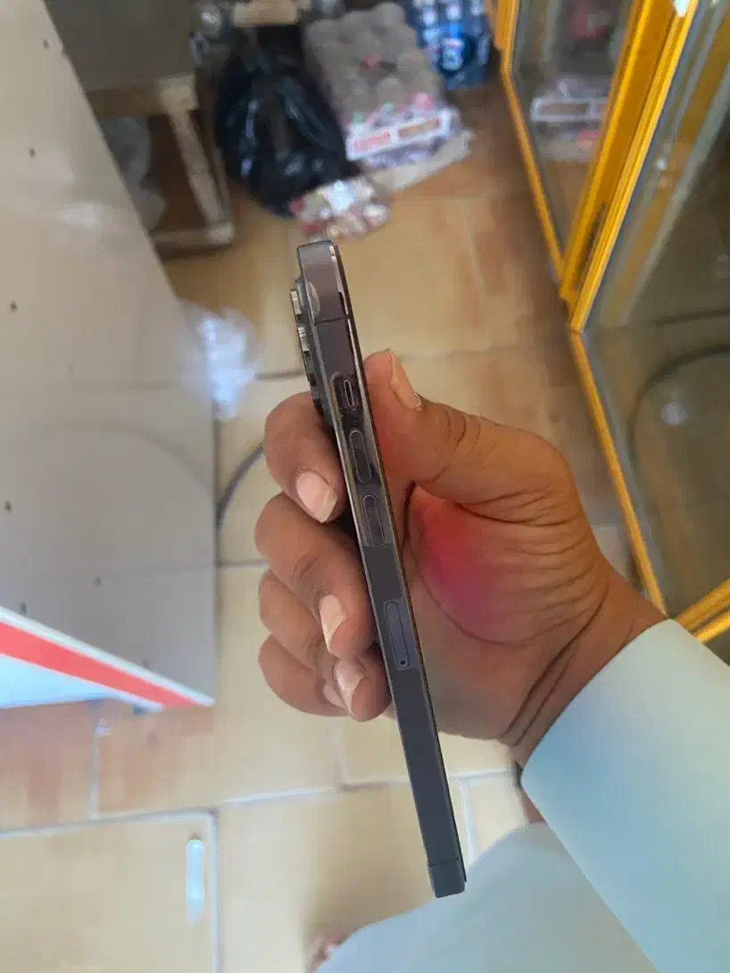 موبایل۱۴ پرو مکس|موبایل|چابهار, |دیوار