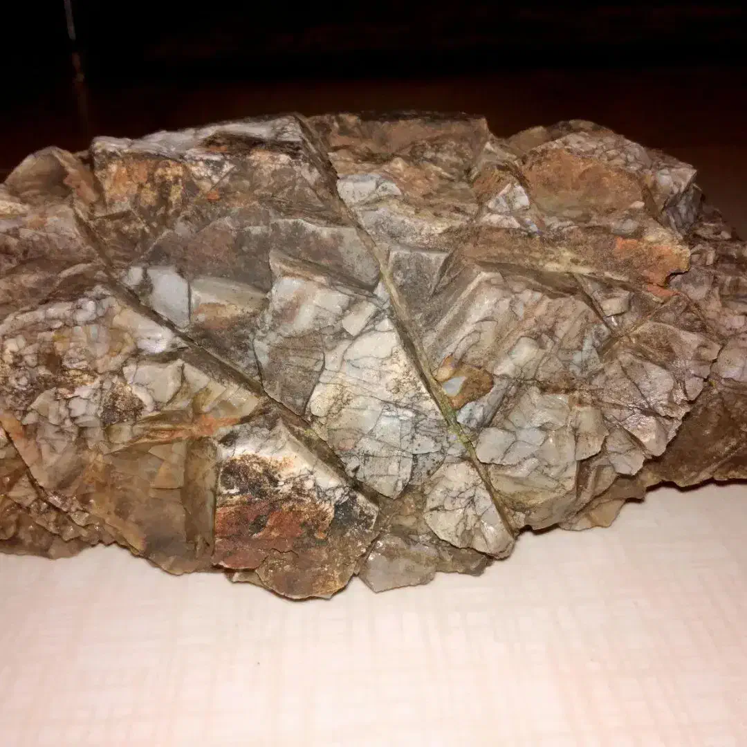 سنگ آکواریوم|ماهی|ماهیدشت, |دیوار