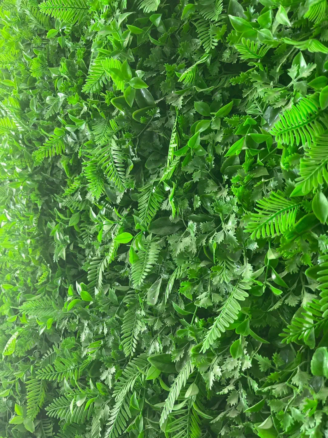 واگذاری رستوران بیرون با سابقه کاری|اجارهٔ مغازه و غرفه|بندر کنگان, |دیوار