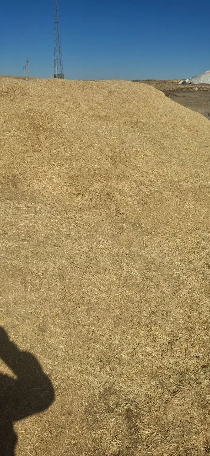 کاه .کاه گندم .در دیواندره|لوازم جانبی حیوانات|سارال, |دیوار