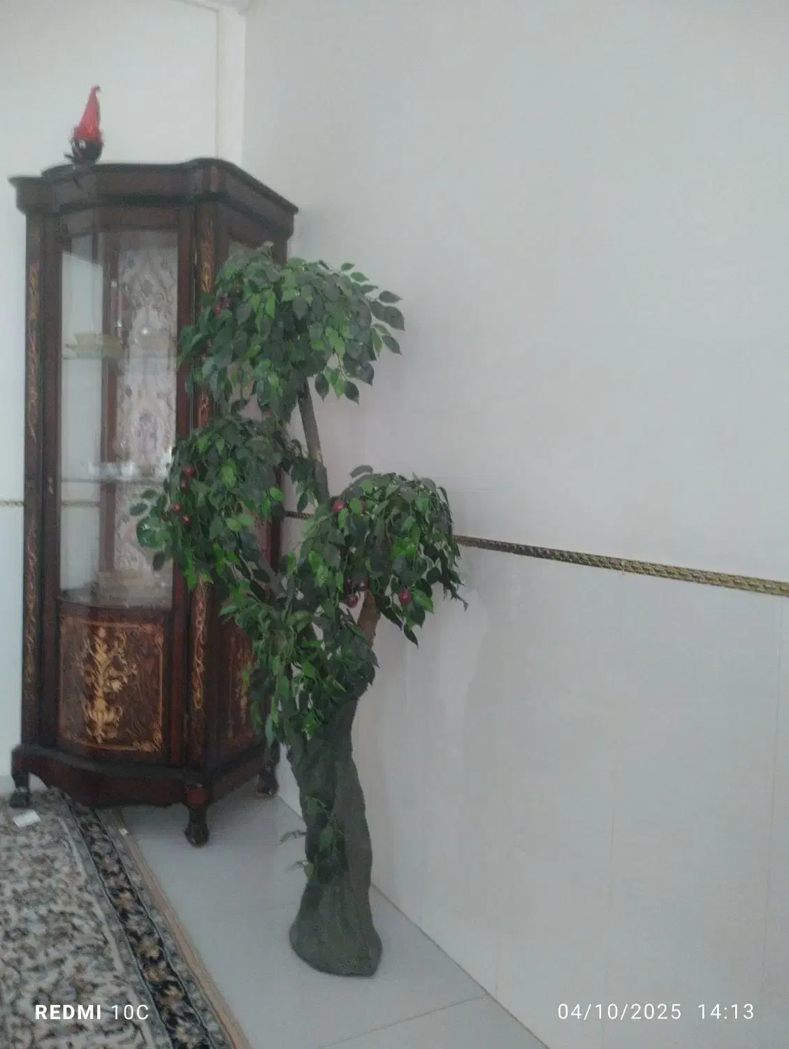 درختچه کافه|گل مصنوعی|مشهد, رباط طرق|دیوار