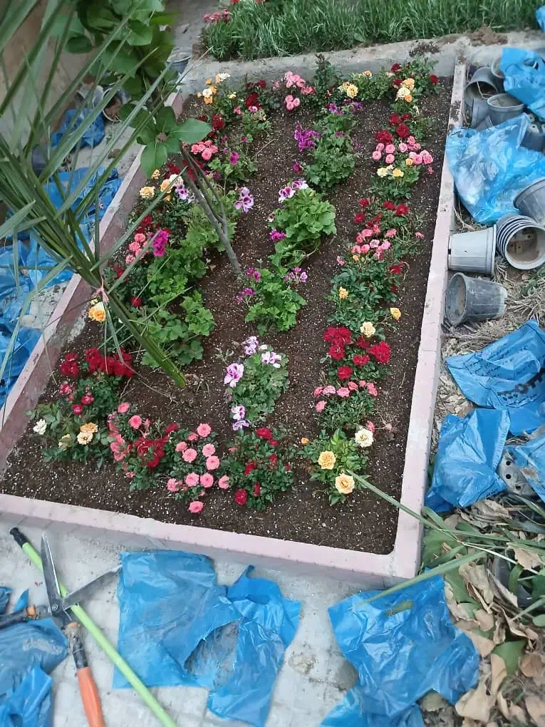 خدمات باغبانی باغچه کاری گلکاری هرسکاری گل وگیا|خدمات باغبانی و درختکاری|کرج, گلشهر|دیوار