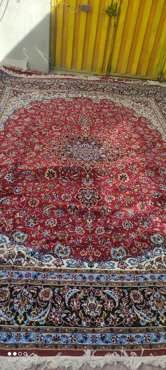فرش مناسب باغ|فرش|همدان, |دیوار