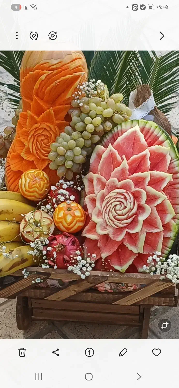 اموزش و سفارش و میوه ارایی عروس و ژله تزریقی|خدمات آموزشی|بروجرد, |دیوار