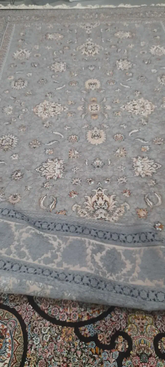 روفرشی|روفرشی|قم, شهر قائم|دیوار