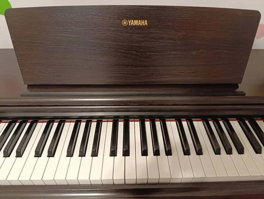 پیانو یاماها ydp145|پیانو، کیبورد، آکاردئون|تبریز, |دیوار