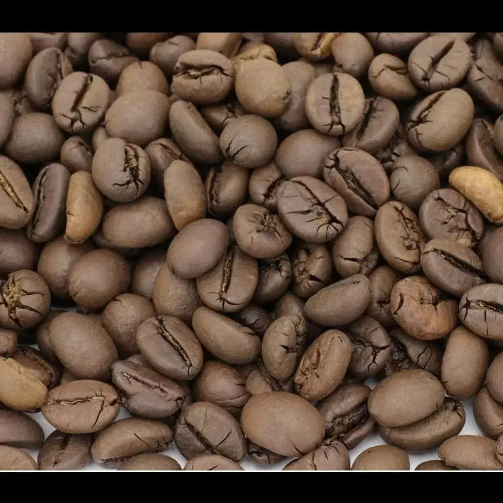 برشته کاری / رستری / قهوه / اسپرسو / ماسالا|عمدهفروشی|کرج, فاز ۳ گوهردشت|دیوار