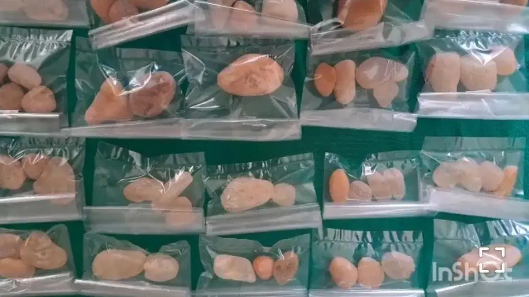 در نجف در حسینی در خونی بسته ای ۵۰|جواهرات|خمینی‌شهر, |دیوار