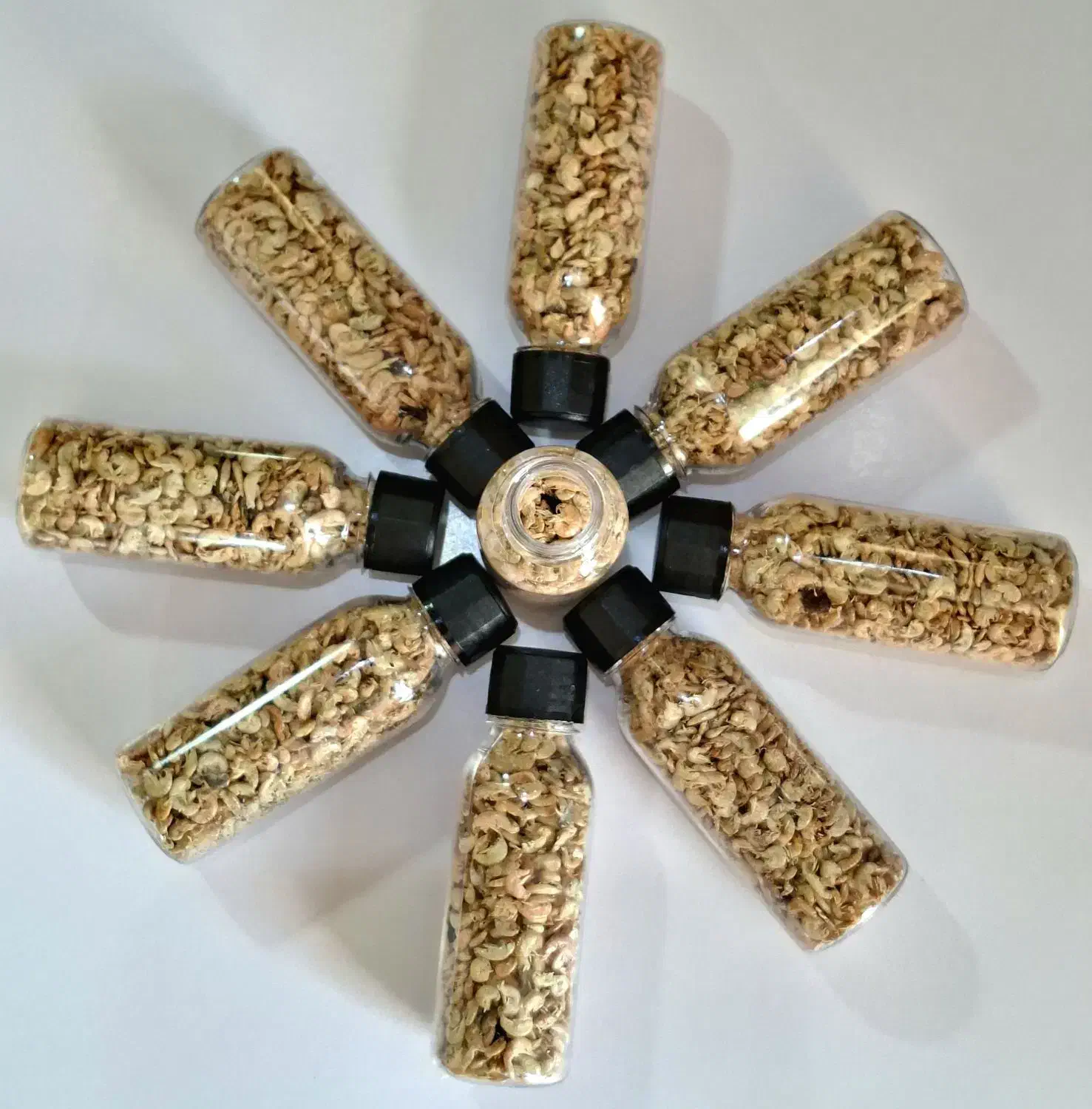 گاماروس خشک (سوپرگرید)|ماهی|اصفهان, دوطفلان|دیوار