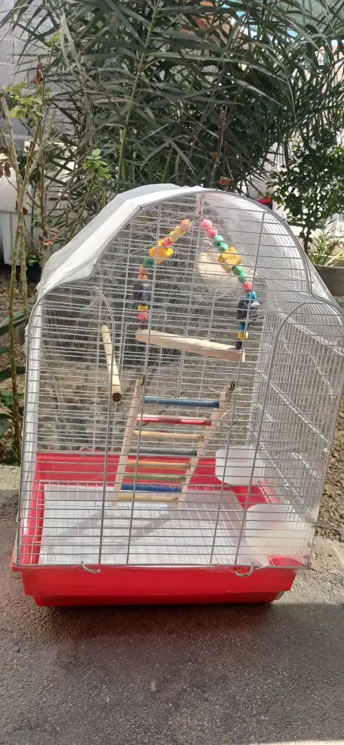 قفس پرنده|لوازم جانبی حیوانات|آبپخش, |دیوار