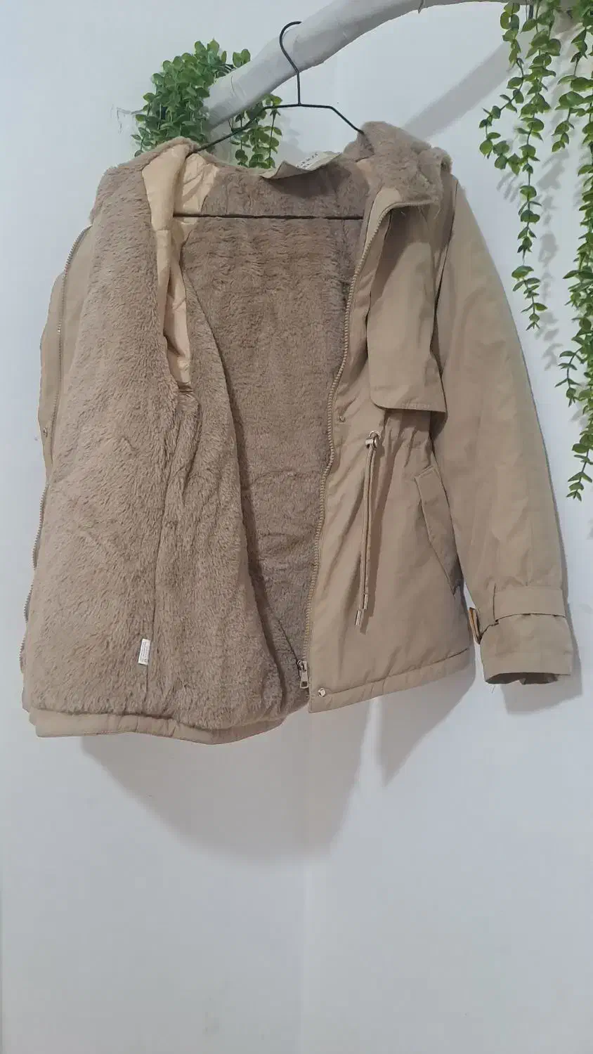 پوشیده نشده .ارزان|لباس|تالش, هشتپر|دیوار