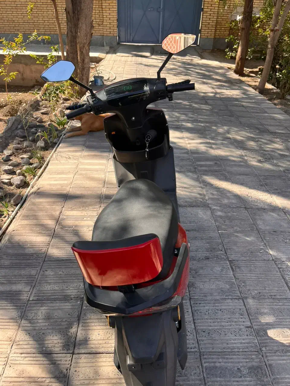 تمیز و سواری نرم|موتورسیکلت|بم, |دیوار