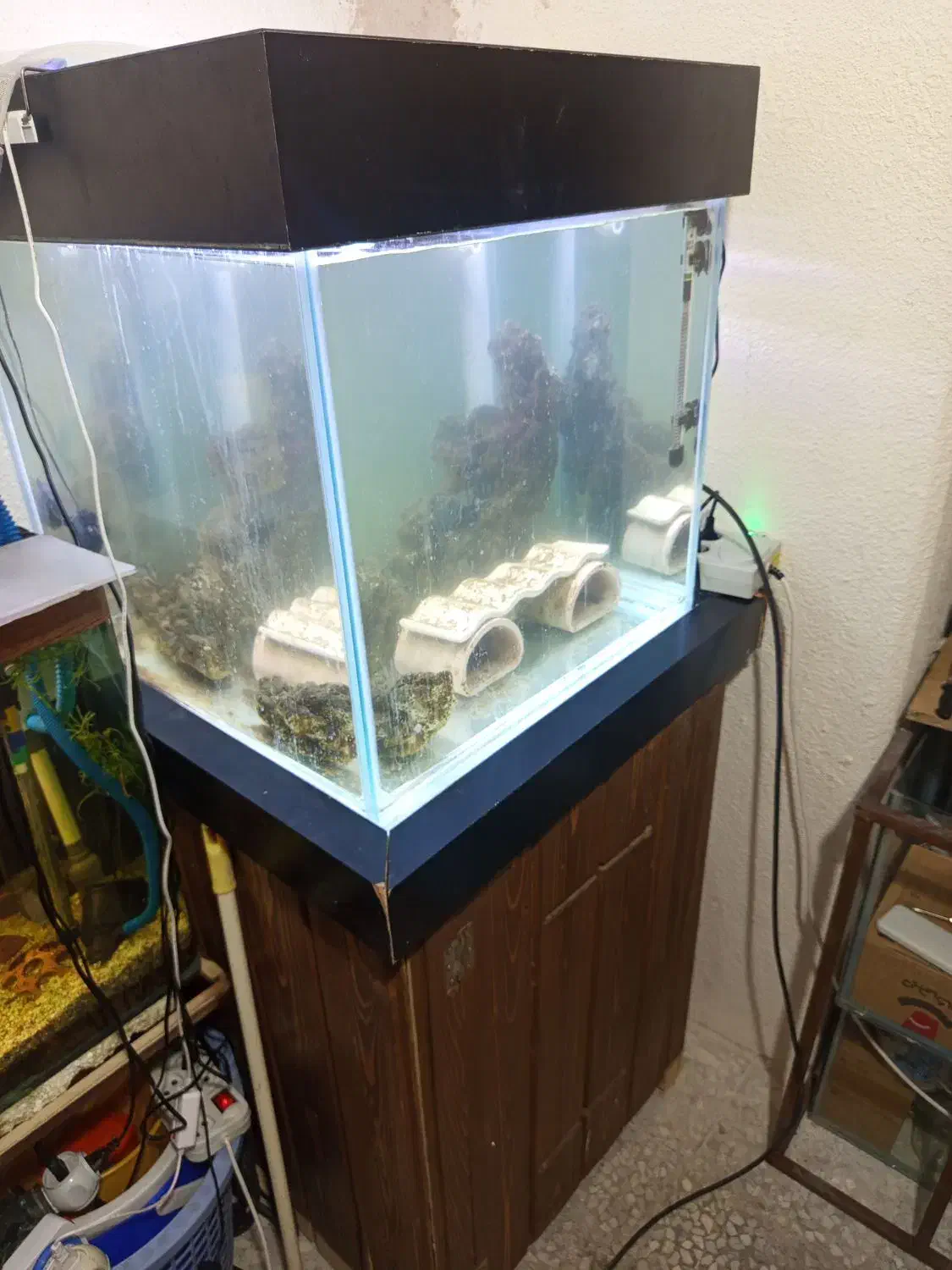 آکواریوم آب شور|ماهی|اصفهان, شفق|دیوار