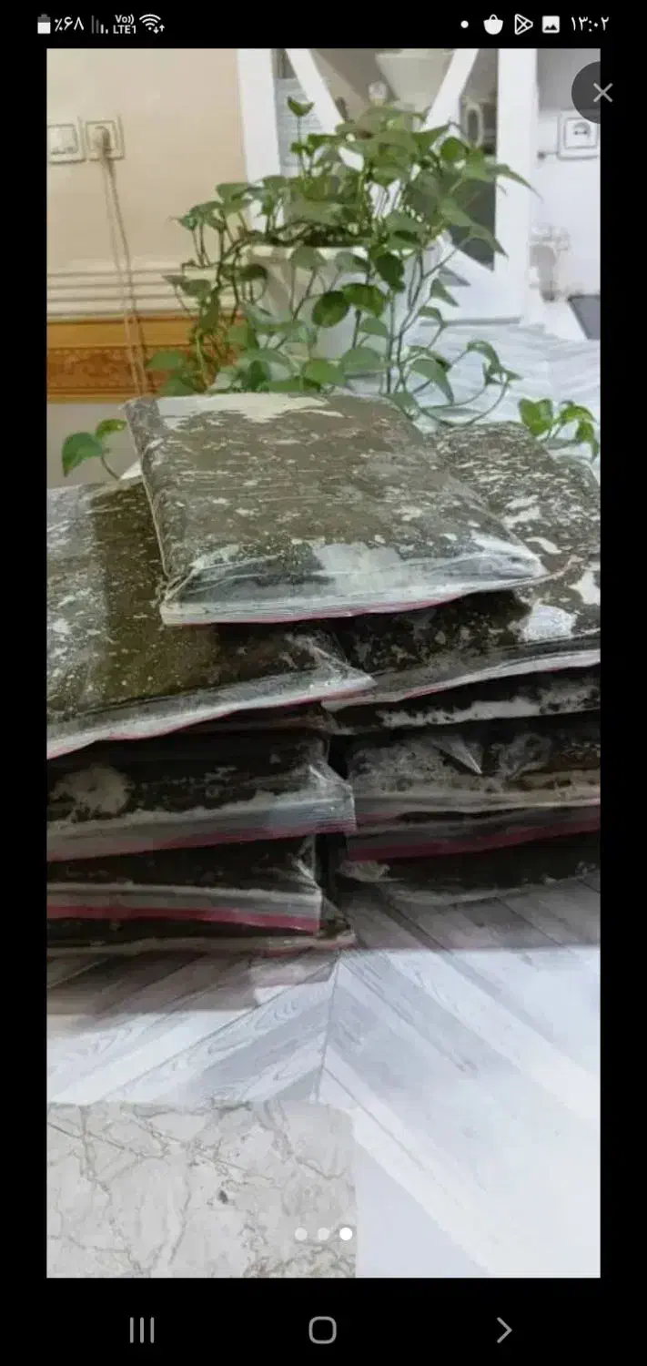 سبزی|خوردنی و آشامیدنی|اهواز, کیانپارس |دیوار