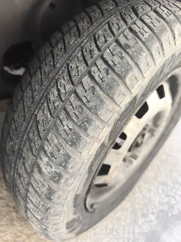 لاستیک پراید.تخته باند عقب سمند بژ با توری باند|قطعات یدکی و لوازم جانبی|فولادشهر, C8|دیوار