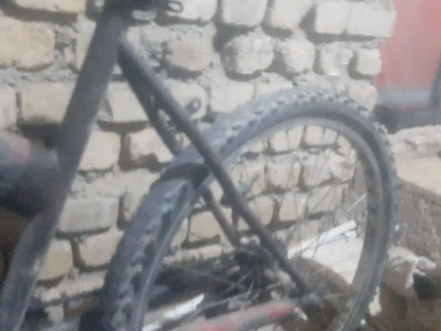 دوچرخه سالم|دوچرخه، اسکیت، اسکوتر|تنکمان, |دیوار