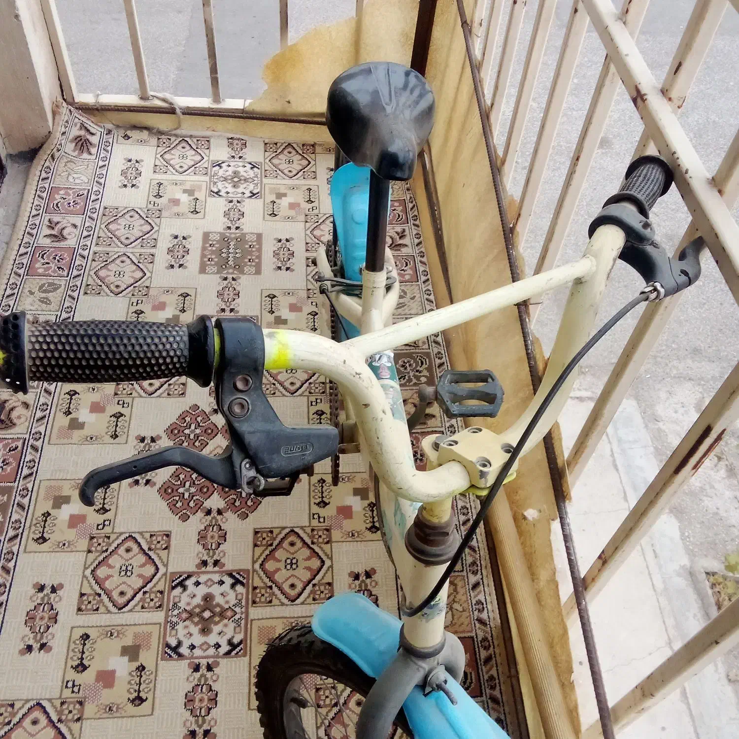 دوچرخه بیست|دوچرخه، اسکیت، اسکوتر|تاکستان, |دیوار