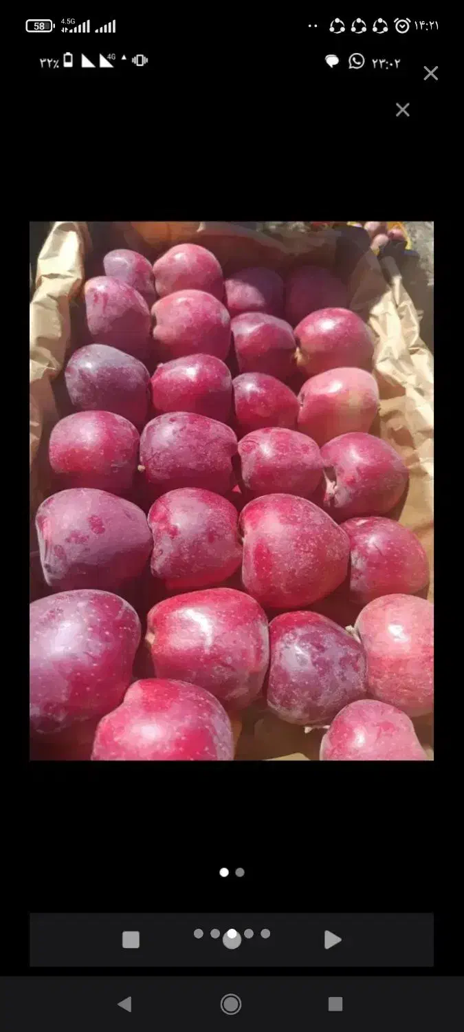 سیب درجه 2 و درجه 1|عمدهفروشی|ری, علایین|دیوار