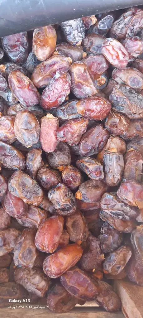 خرمای پاک کرده|خوردنی و آشامیدنی|شبانکاره, |دیوار