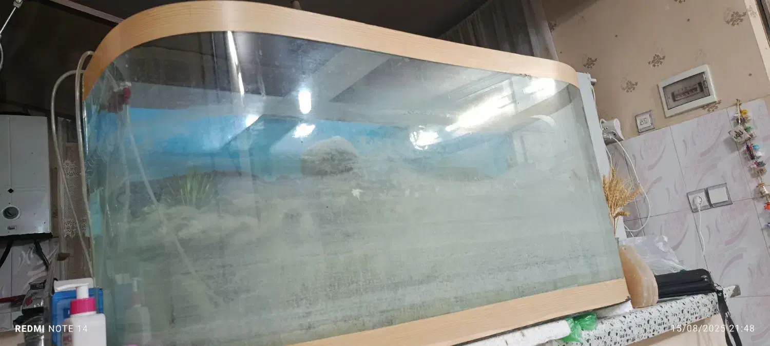 شیشه آکواریوم با لوازم سنگ پمپ|ماهی|مشهد, ابوذر|دیوار