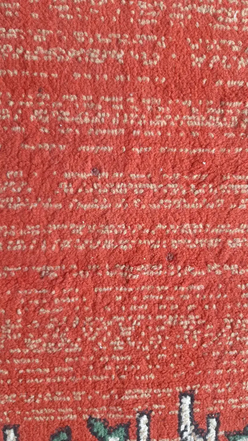 فرش پادری|پادری|ری, حمزهآباد|دیوار