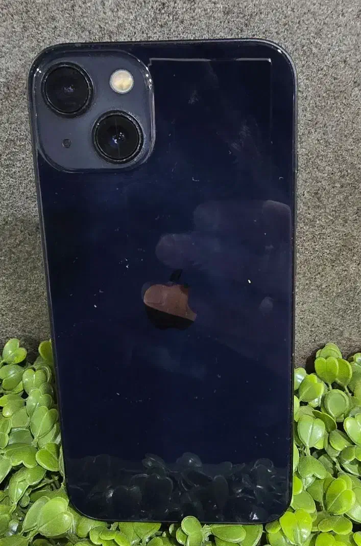 فروش ایفون 13 نرمال|موبایل|گلپایگان, |دیوار