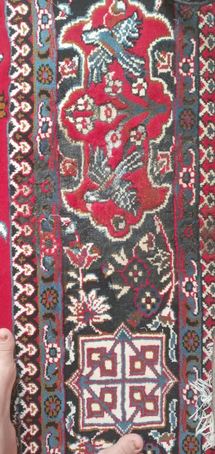 فرش ۱۲ متری|فرش|میاندوآب, |دیوار